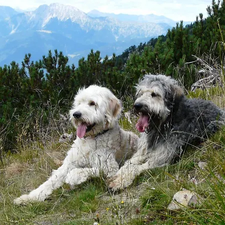 Nawu Apartments & Restaurant Ξενοδοχείο