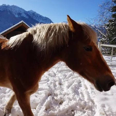 Nawu Apartments & Restaurant Hermagor-Pressegger See