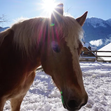 Ξενοδοχείο Nawu Apartments & Restaurant Hermagor-Pressegger See