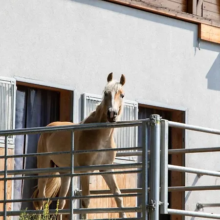 Nawu Apartments & Restaurant 4* Hermagor-Pressegger See