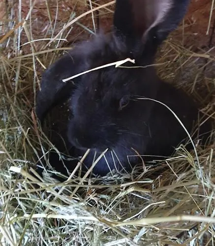 Nawu & Restaurant 4*