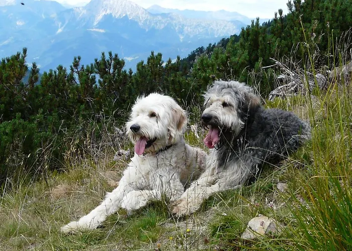 Nawu & Restaurant Otel