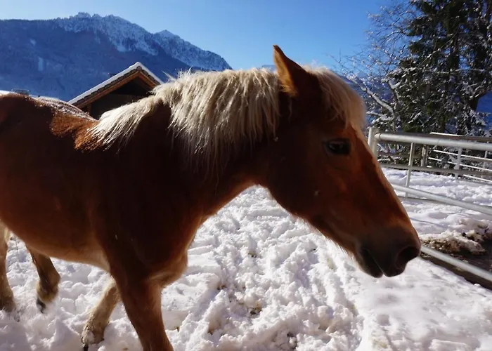 Nawu & Restaurant Hermagor-Pressegger See