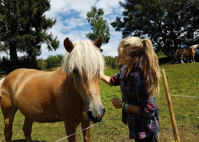 מלון Nawu & Restaurant