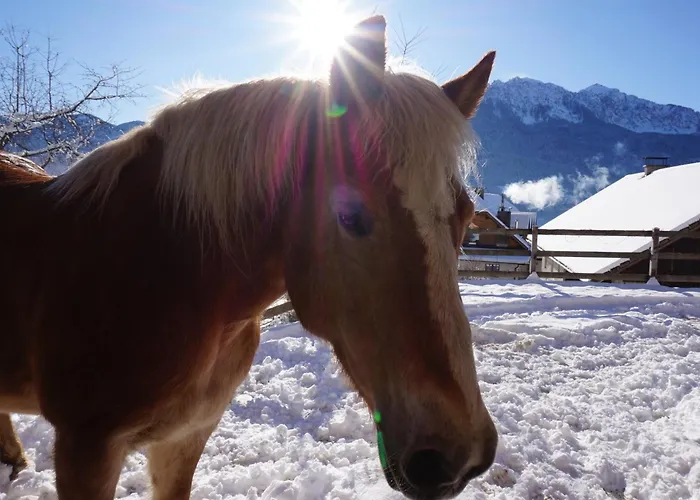 מלון Nawu & Restaurant הרמגור