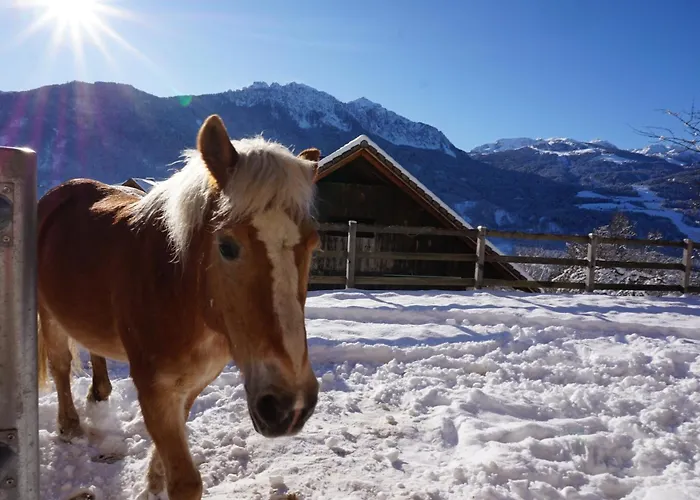 Otel Nawu & Restaurant 4*