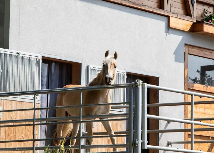 Nawu & Restaurant 4* הרמגור