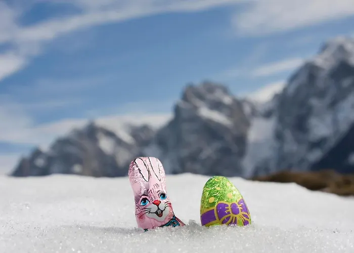 Nawu & Restaurant מלון 4*